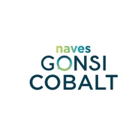 Naves-Gonsi-Cobalt-logo-Naves-en-alquiler-Hospitalet-Barcelona